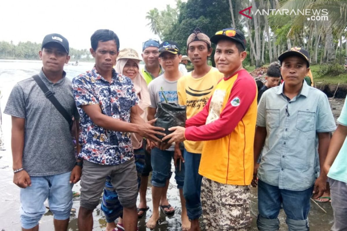 Pemkab Pasaman Barat gelar aksi bersih-bersih Pantai Indah Maligi