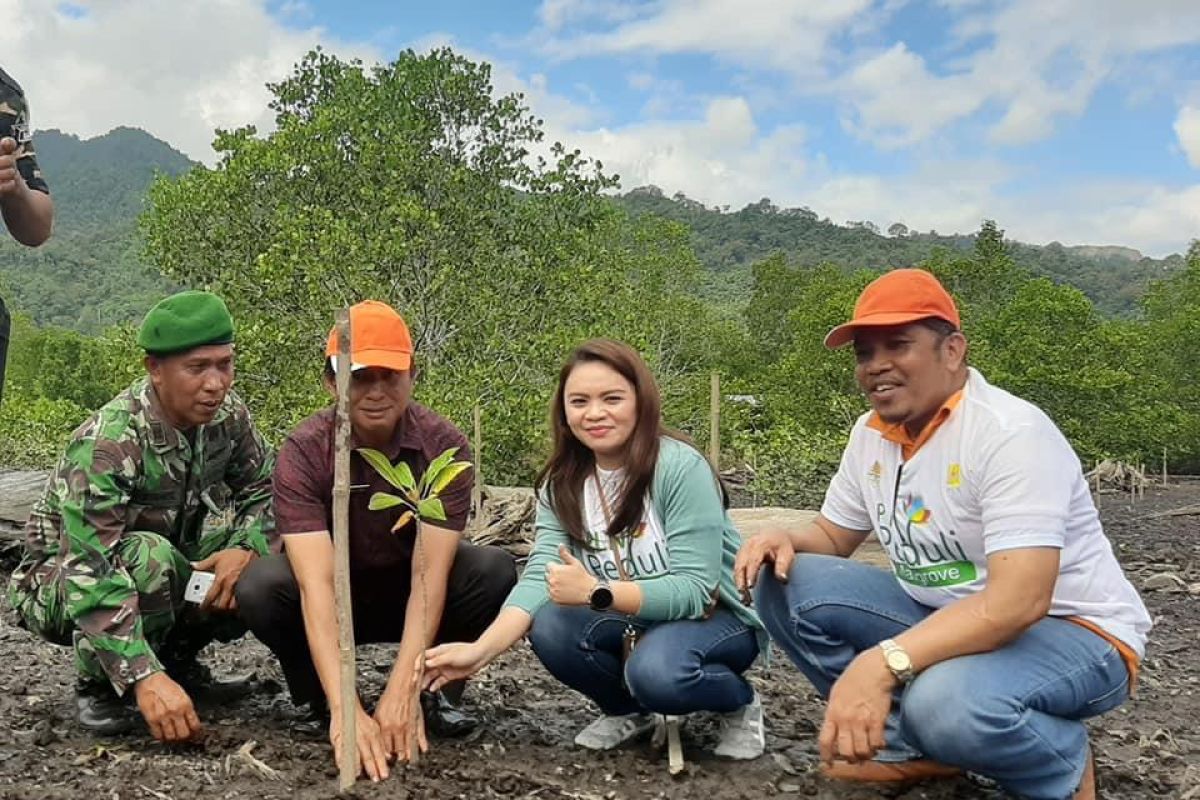 PLN bersama Pemkab Bolmong lakukan restorasi hutan mangrove Baturapa