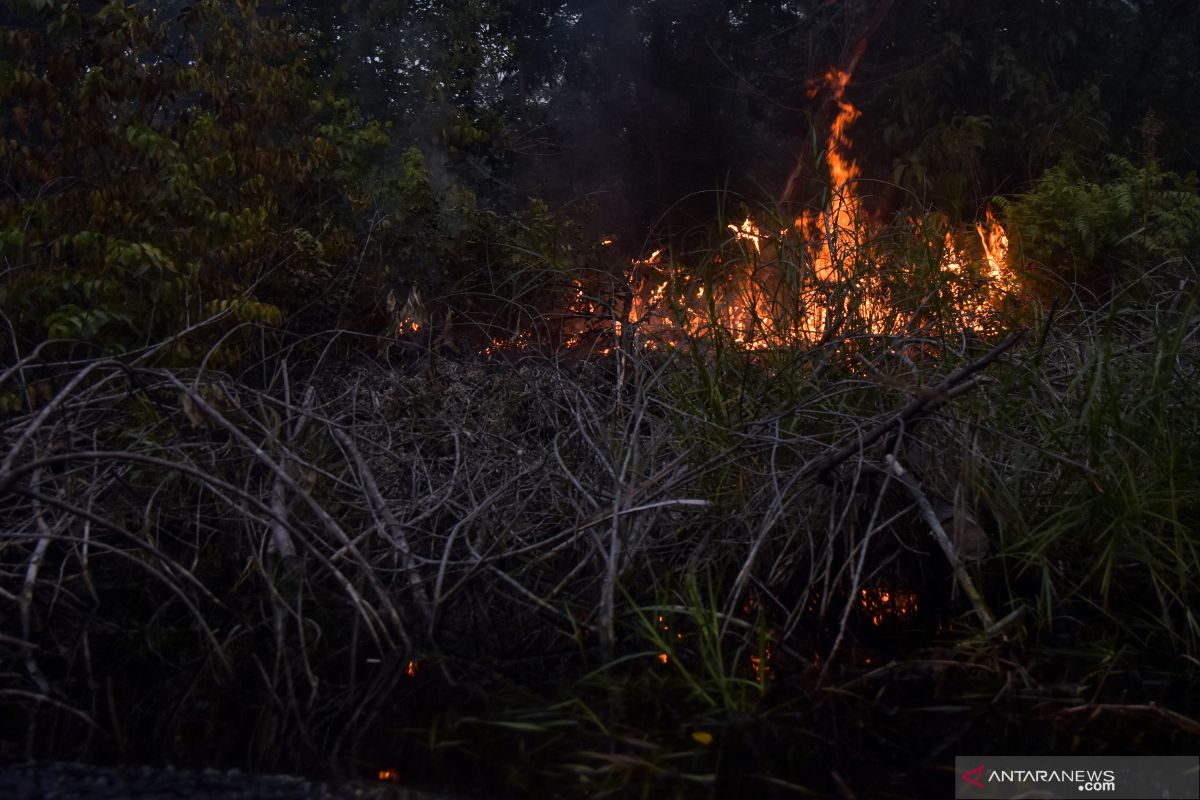 Polda Riau telusuri lima perusahaan terdeteksi titik api, berikut ini nama korporasinya