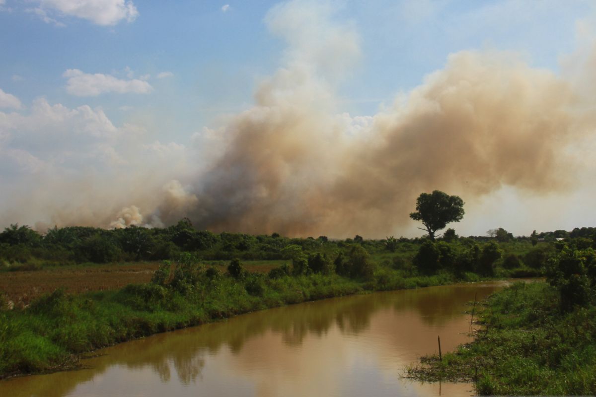 Five land fires occur in Tapin
