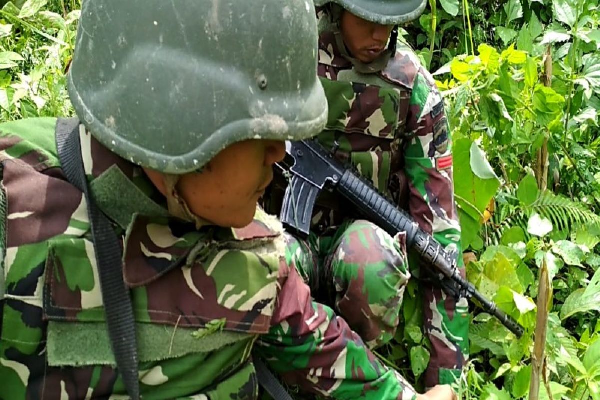 Patroli Yonif 126/KC menemukan pohon ganja di perbatasan RI-PNG