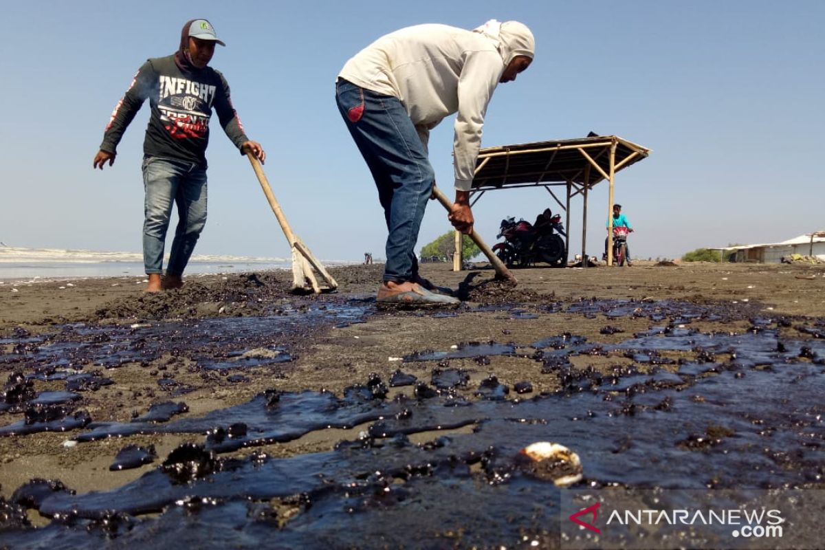 Hingga hari ini ratusan nelayan Karawang masih bersihkan tumpahan minyak mentah