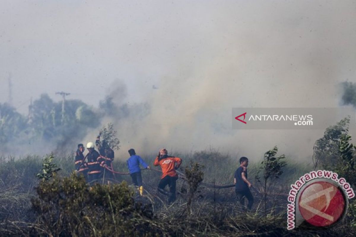 Anggota DPR: Kebakaran hutan-lahan Sumatera Selatan harus dicegah