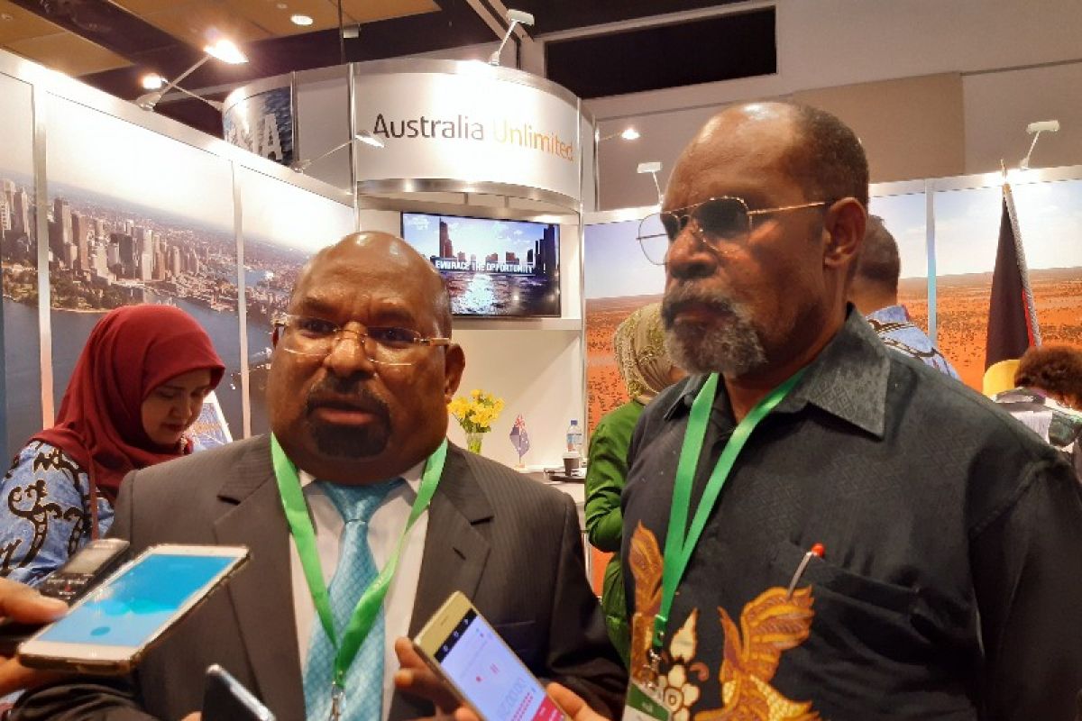 Papua to send 20-ton rice to PNG's dual volcano victims