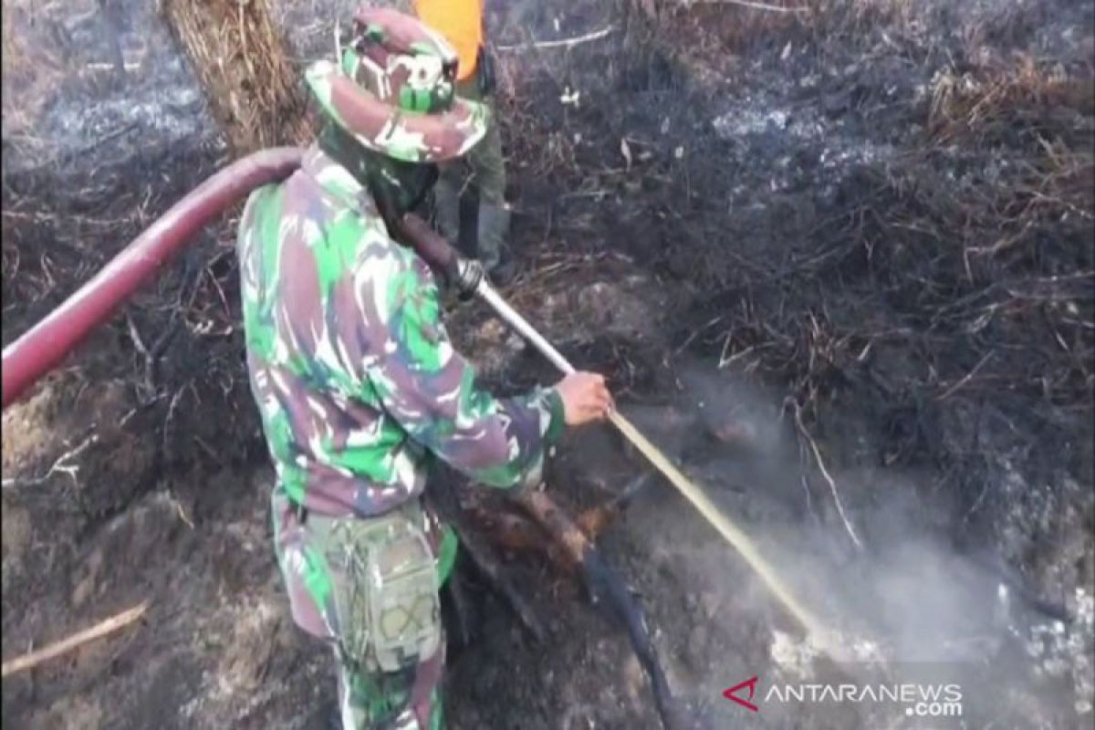 BMKG Sampit :  kebakaran lahan berpotensi sangat sulit dikendalikan