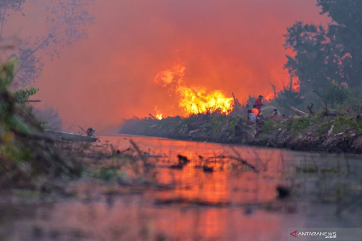 Kebakaran lahan gambut di Penarikan Riau belum berhasil dipadamkan