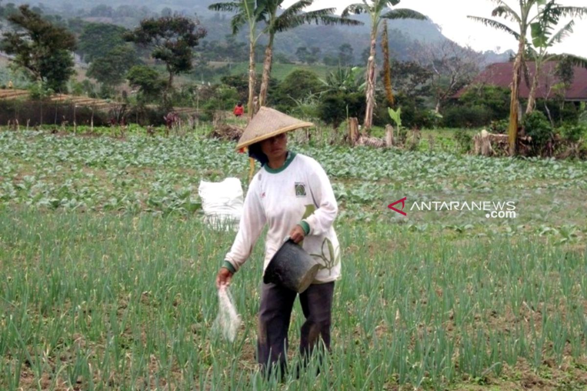 Pemkab Rejang Lebong terima 6.889 ton pupuk bersubsidi