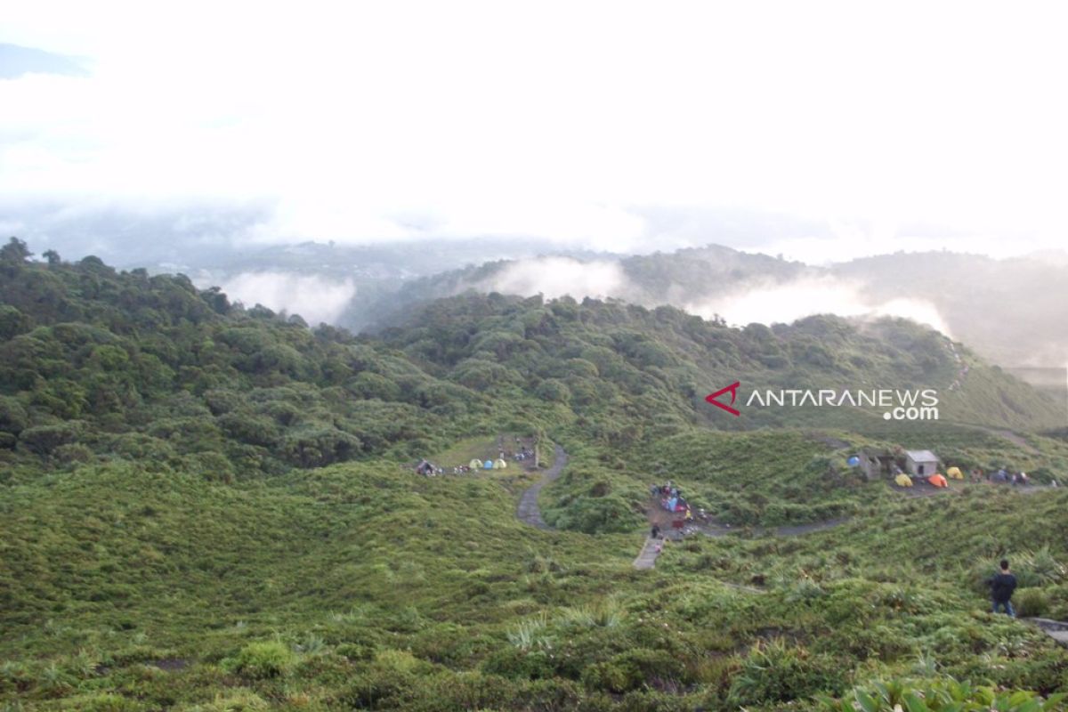 Kerusakan kawasan TWA Bukit Kaba segera dipulihkan