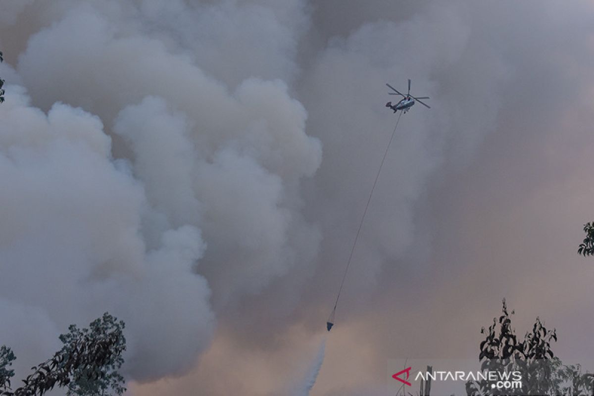 Satgas lanjutkan pemadaman kebakaran lahan di Desa Petani