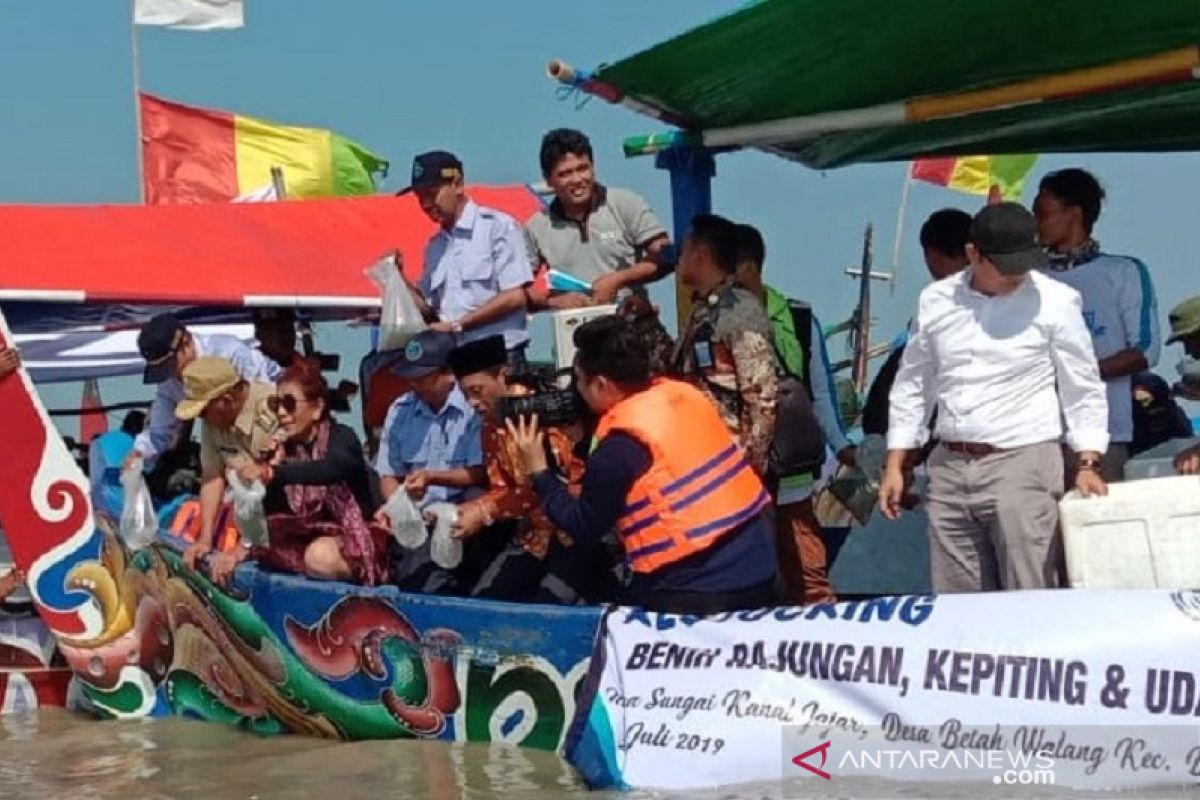 Nelayan Demak diingatkan agar tidak menangkap rajungan bertelur