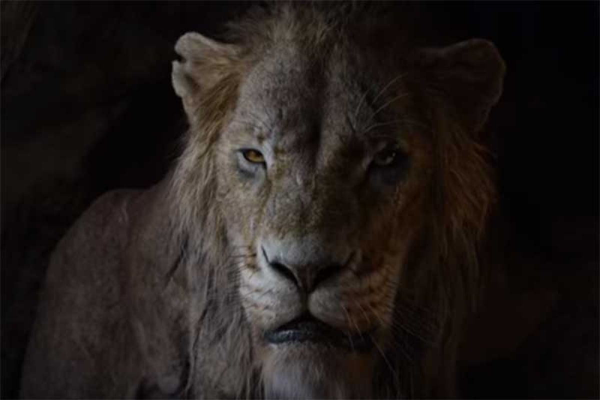 "The Lion King" masih film terlaris mengantongi pendapatan 75,5 juta dolar pekan kemarin
