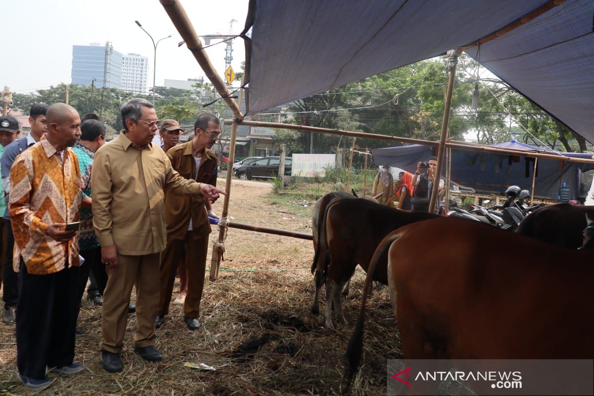 Wakil Wali Kota Tangsel sidak tempat pemotongan hewan qurban