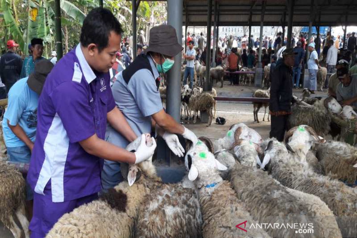 Hewan kurban di Temanggung diperiksa, tidak ditemukan penyakit berbahaya