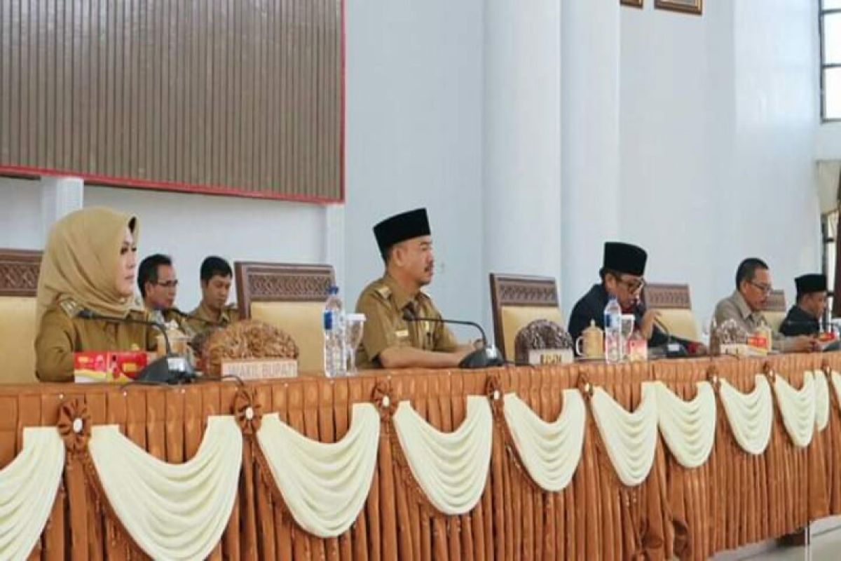 Legislator minta Pemkab Seruyan cermat dalam penatausahaan keuangan dan aset daerah