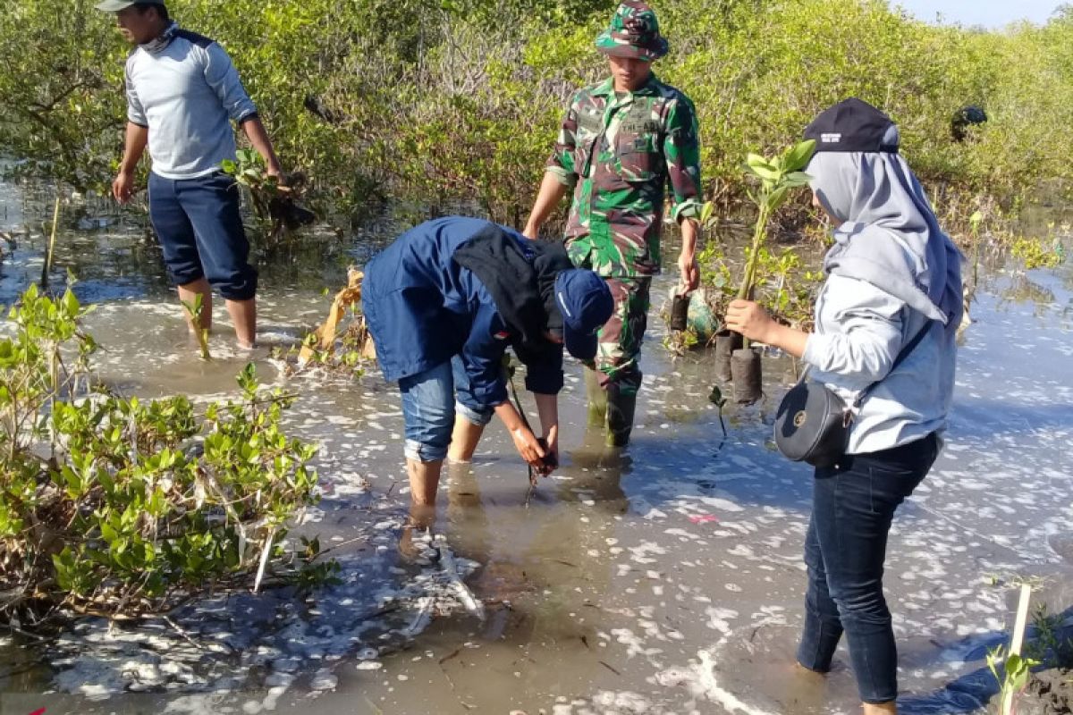 Kodim1615/Lombok Timur menanam mangrove cegah abrasi pantai