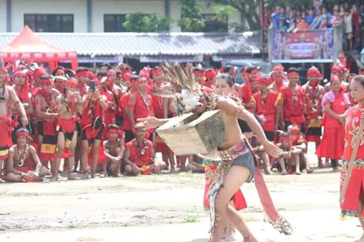 Tari Lesong Mualang pukau penonton pada pembukaan Gawai Dayak Sekadau