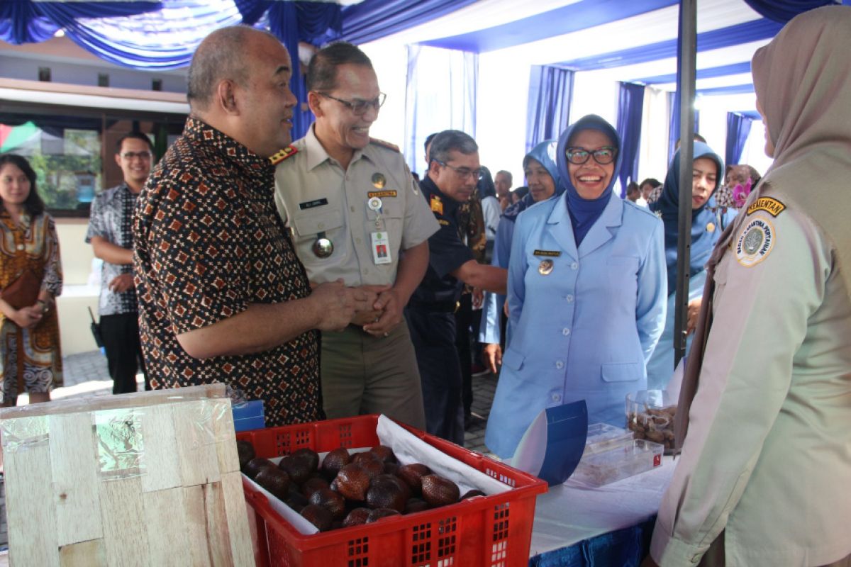 Pemkab Sleman bertekad tingkatkan ekspor Kopi Merapi