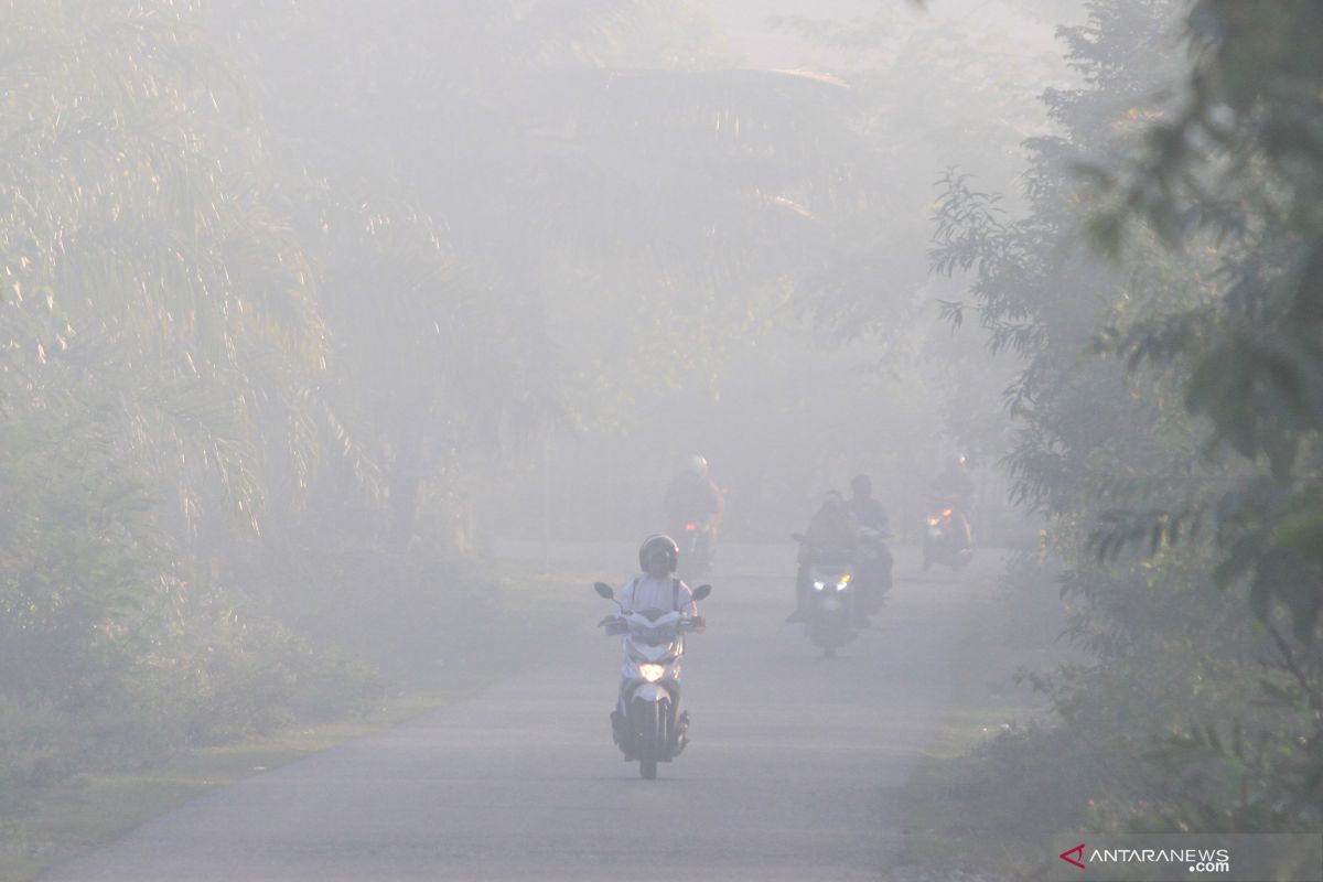 Luas Kebakaran Lahan Di Aceh Barat Capai Hektare ANTARA News