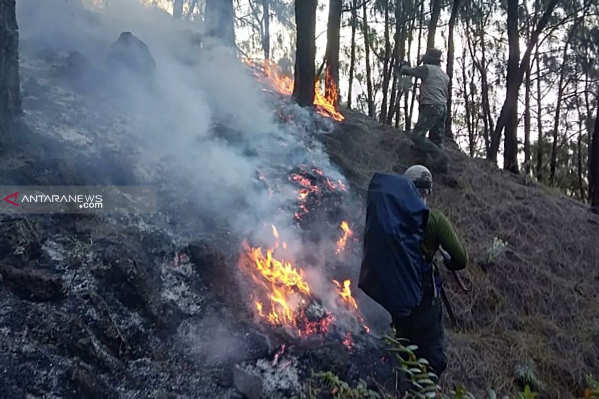 Pemadaman api di Gunung Arjuno terhambat medan curam
