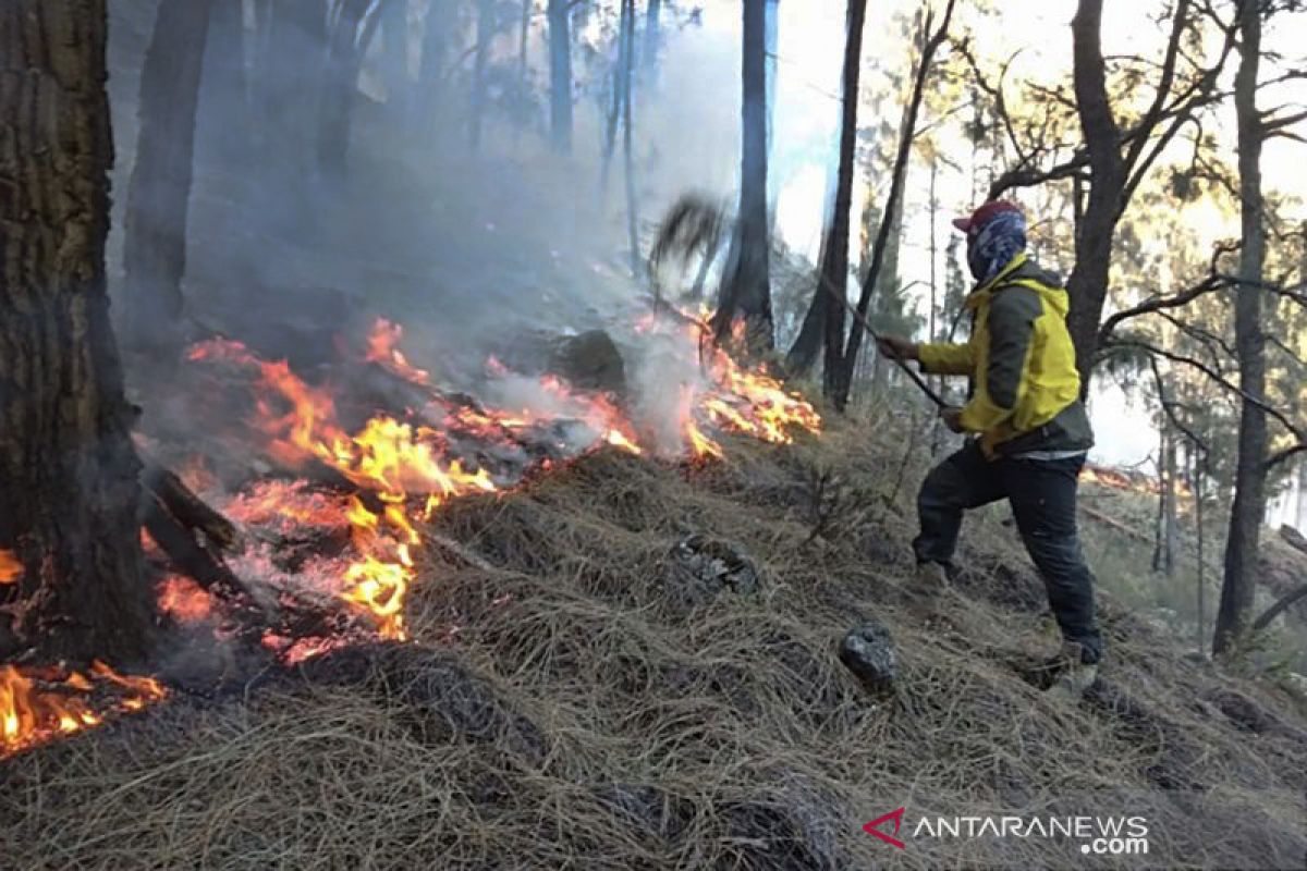 Kabut dan angin hambat pemadaman kebakaran hutan di Jawa Timur