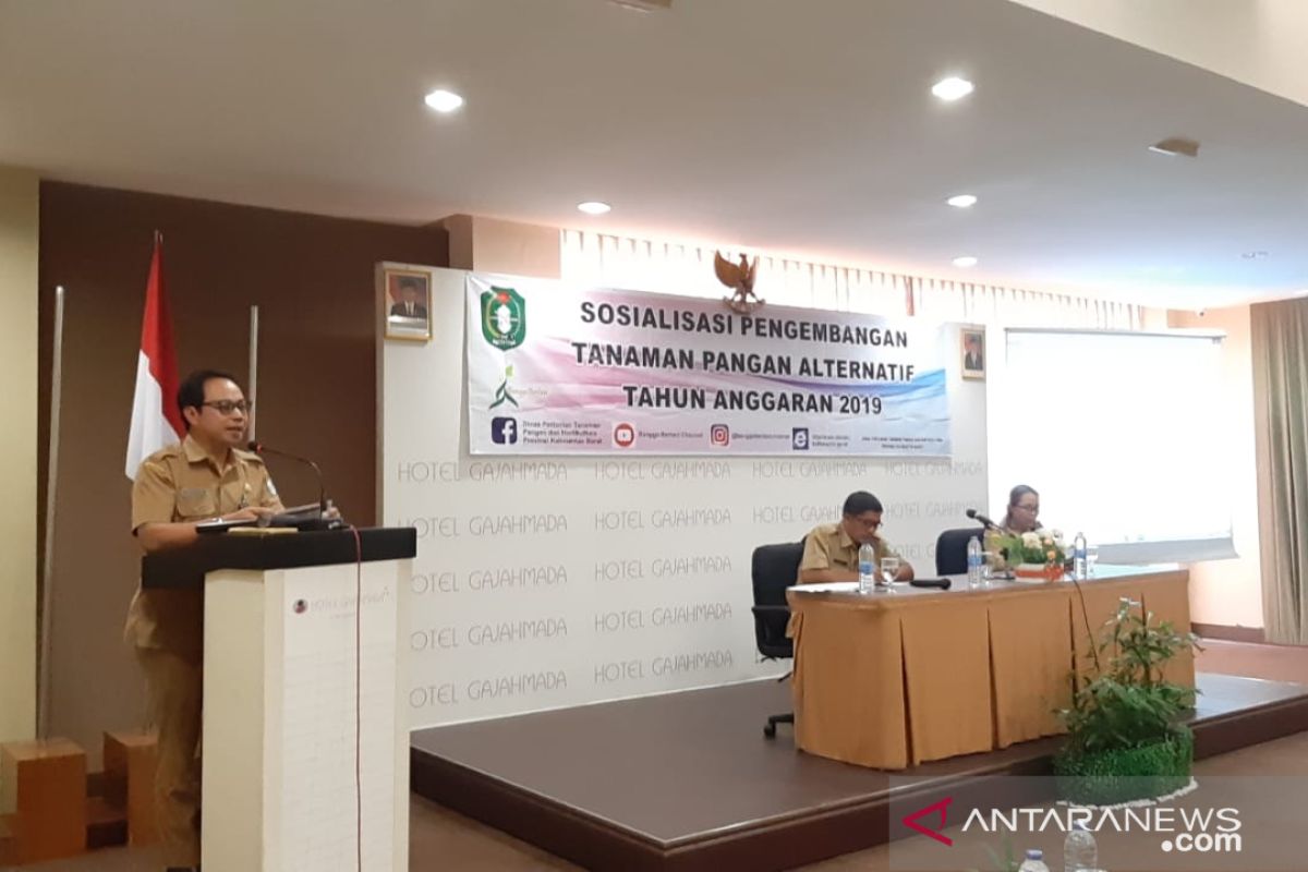 Distan ajak petani Kalbar ambil peluang ekonomi komoditas pangan alternatif