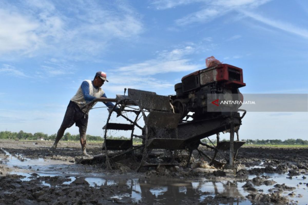 Pemkab Ngawi fasilitasi sertifikasi produk organik pertanian