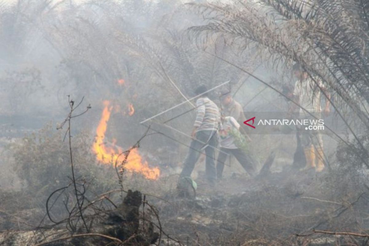 BNPB prakirakan titik panas karhutla masih akan bertambah