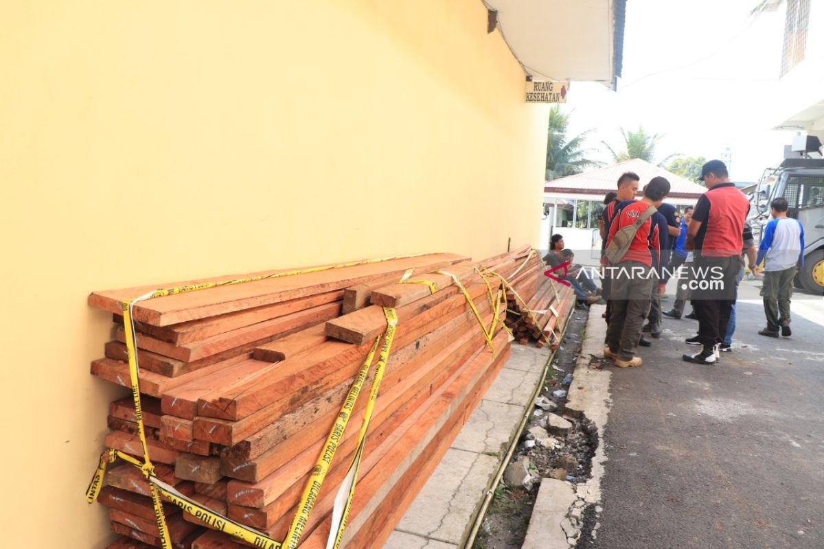 Polres amankan perambah hutan lindung dan kayu ilegal