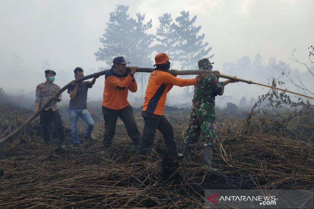 Enam provinsi jadi fokus penanganan kebakaran hutan dan lahan