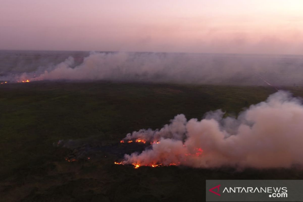 Tiga titik spot api bakar lahan di Tapin