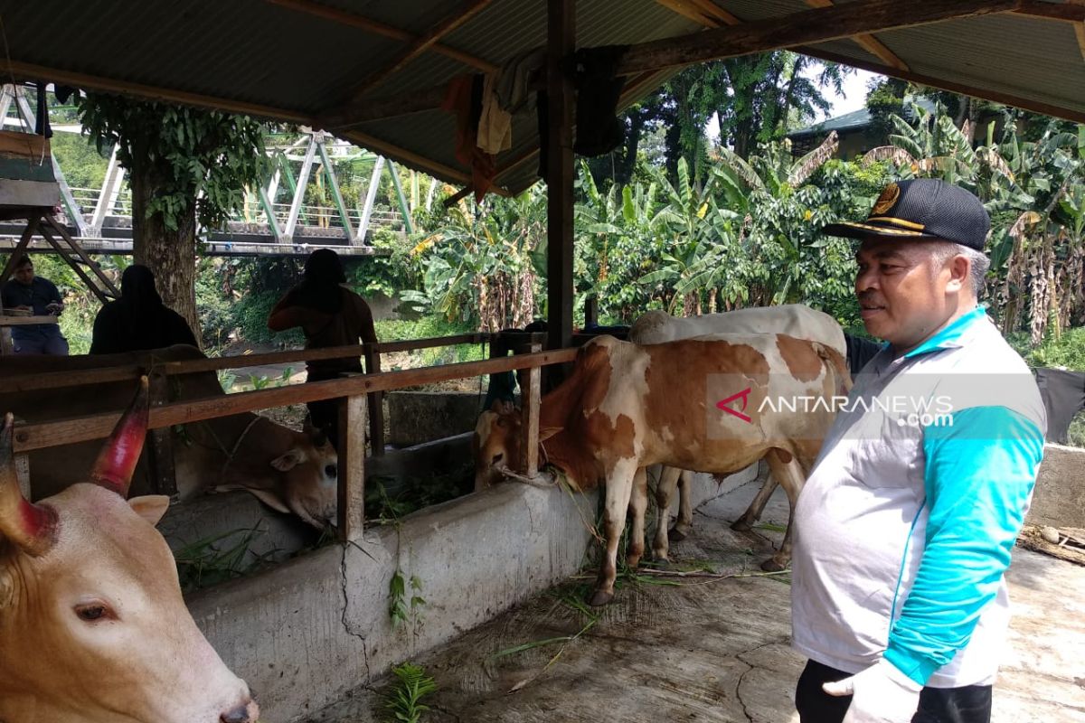 Jelang Idul Adha, petugas di Medan temukan hewan kurban cacat