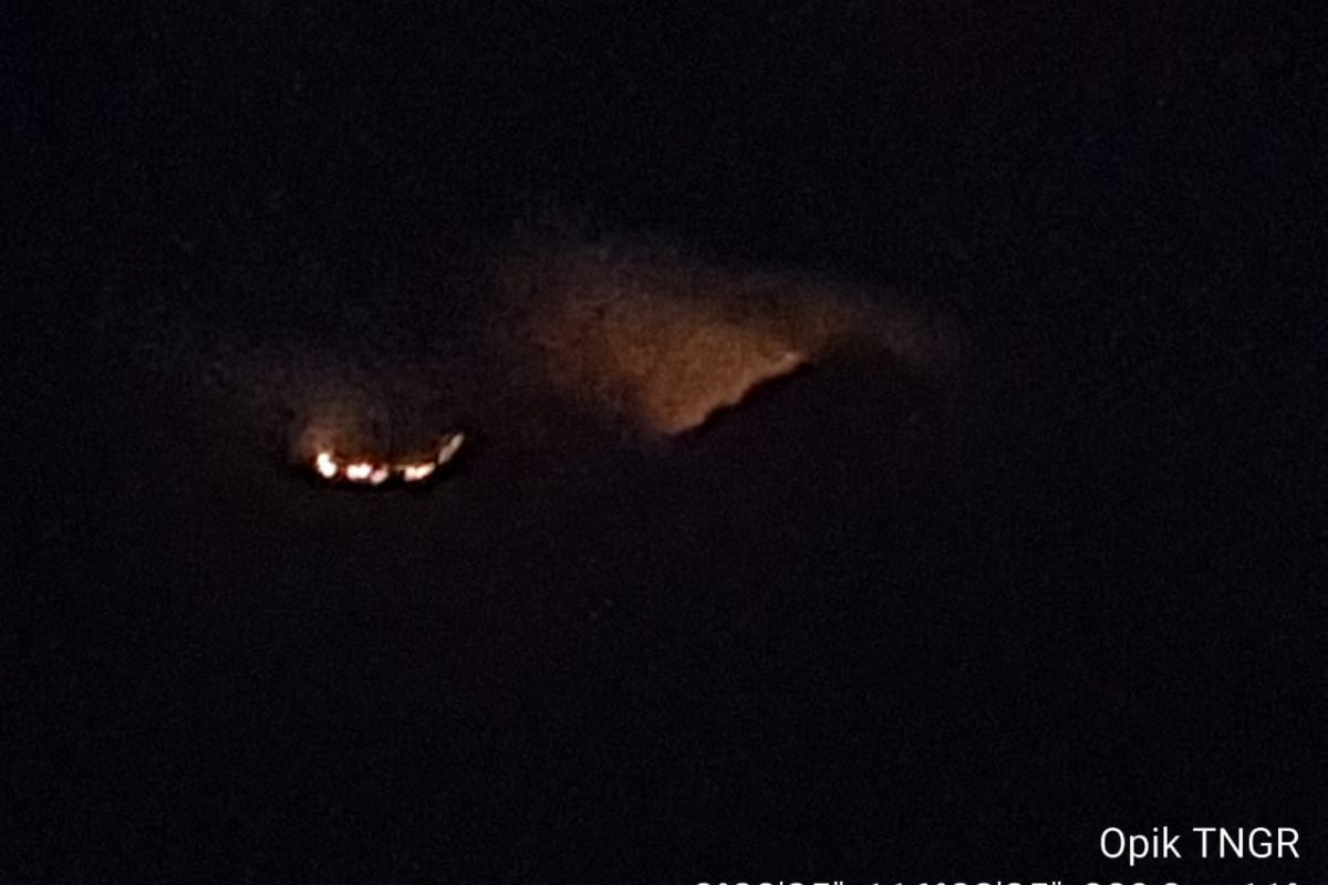 Padang savana KPHL Rinjani Timur Lombok terbakar