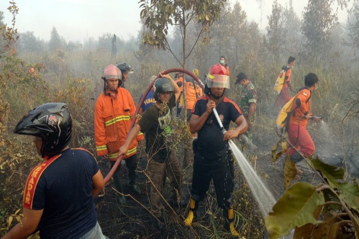 70 hot spot terpantau di Barito Selatan