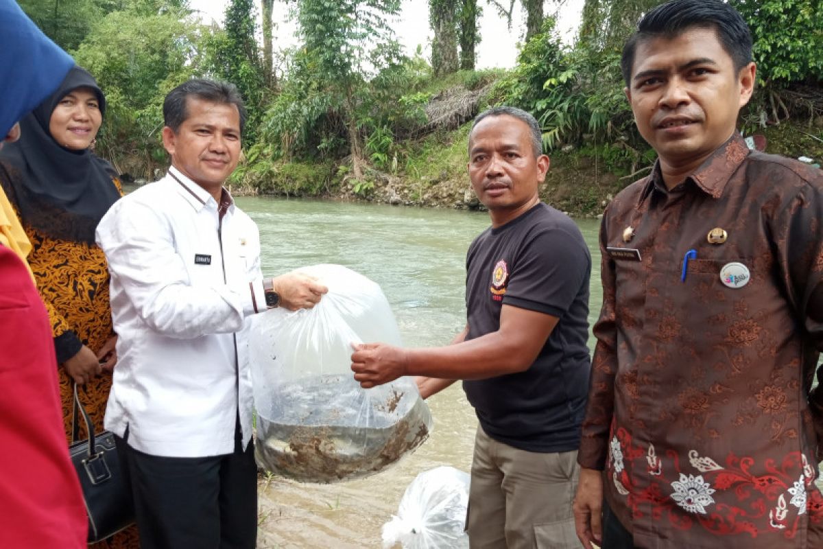 Agam alokasikan Rp300 juta beli induk ikan untuk dua BBI