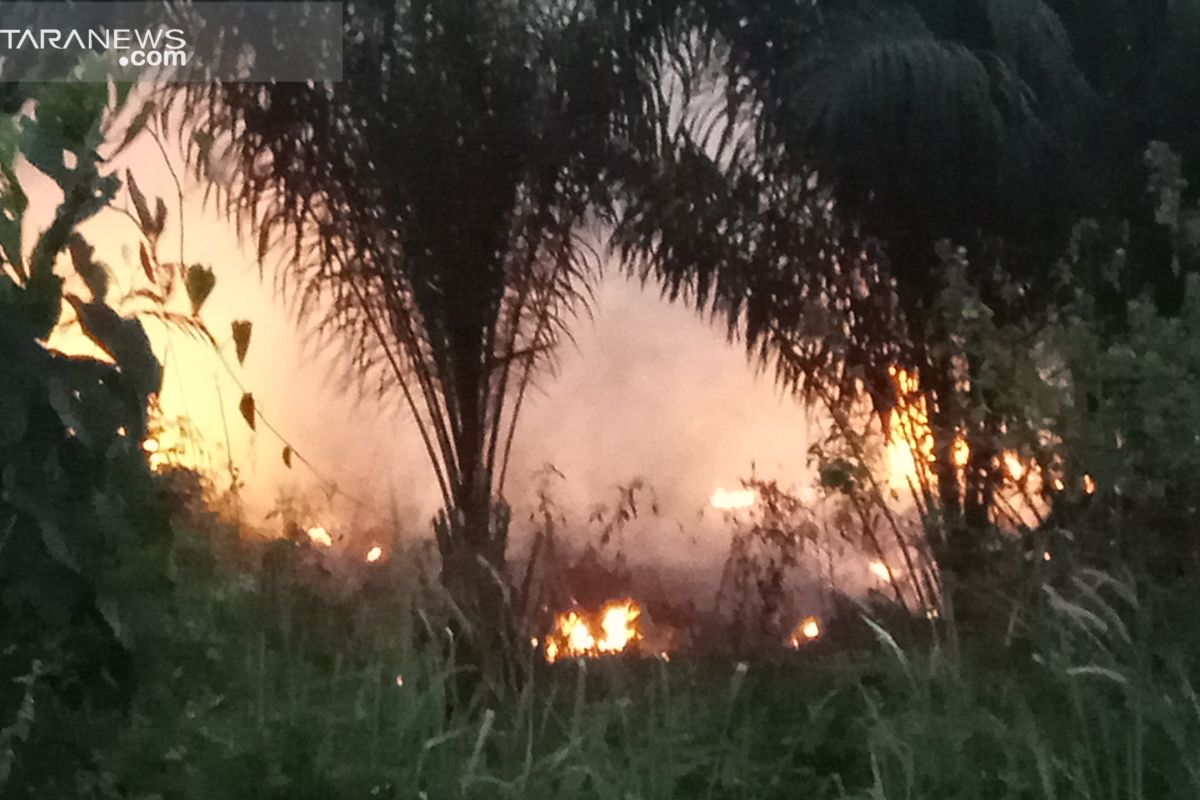 Warga keluhkan kebakaran hutan dan lahan Register 45 Mesuji Lampung