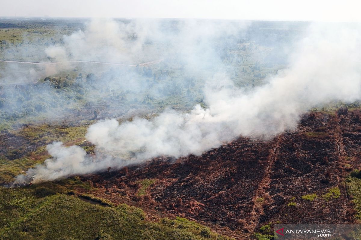 KLHK segel 10 lahan konsesi yang terbakar di Kalimantan Barat