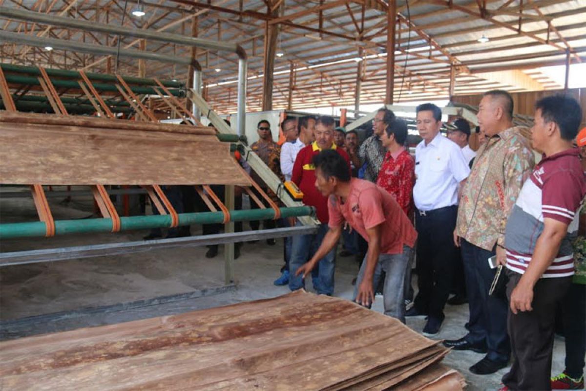Perusahaan di Barito Utara bangun pabrik veneer