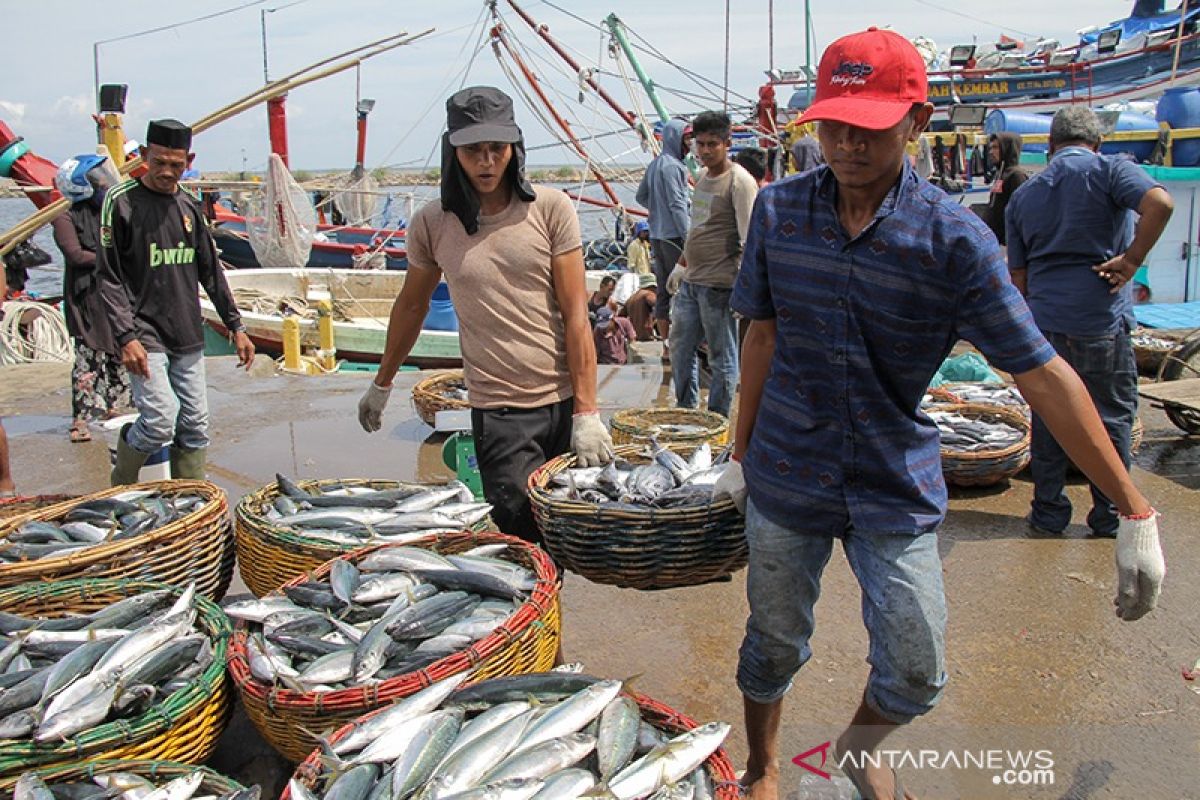 Tangkapan ikan melimpah, nelayan minta pemerintah atasi harga anjlok