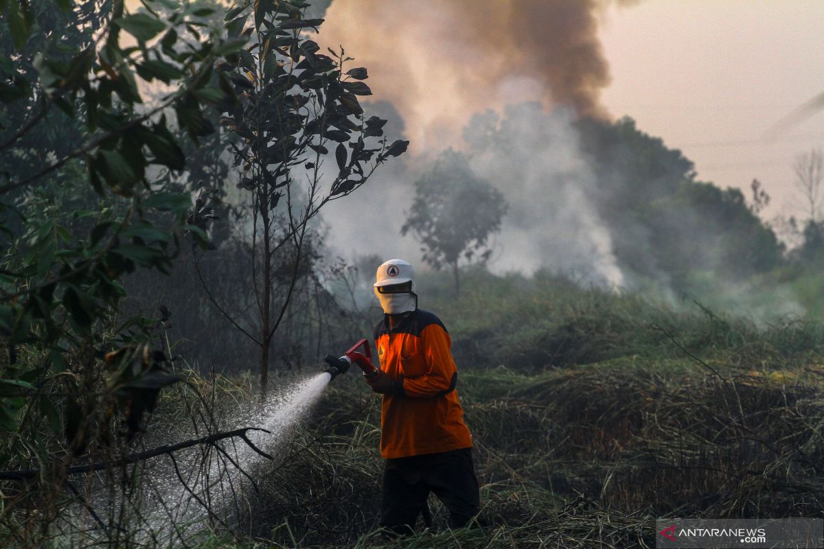 Sejumlah titik api padam namun asap karhutla terdeteksi