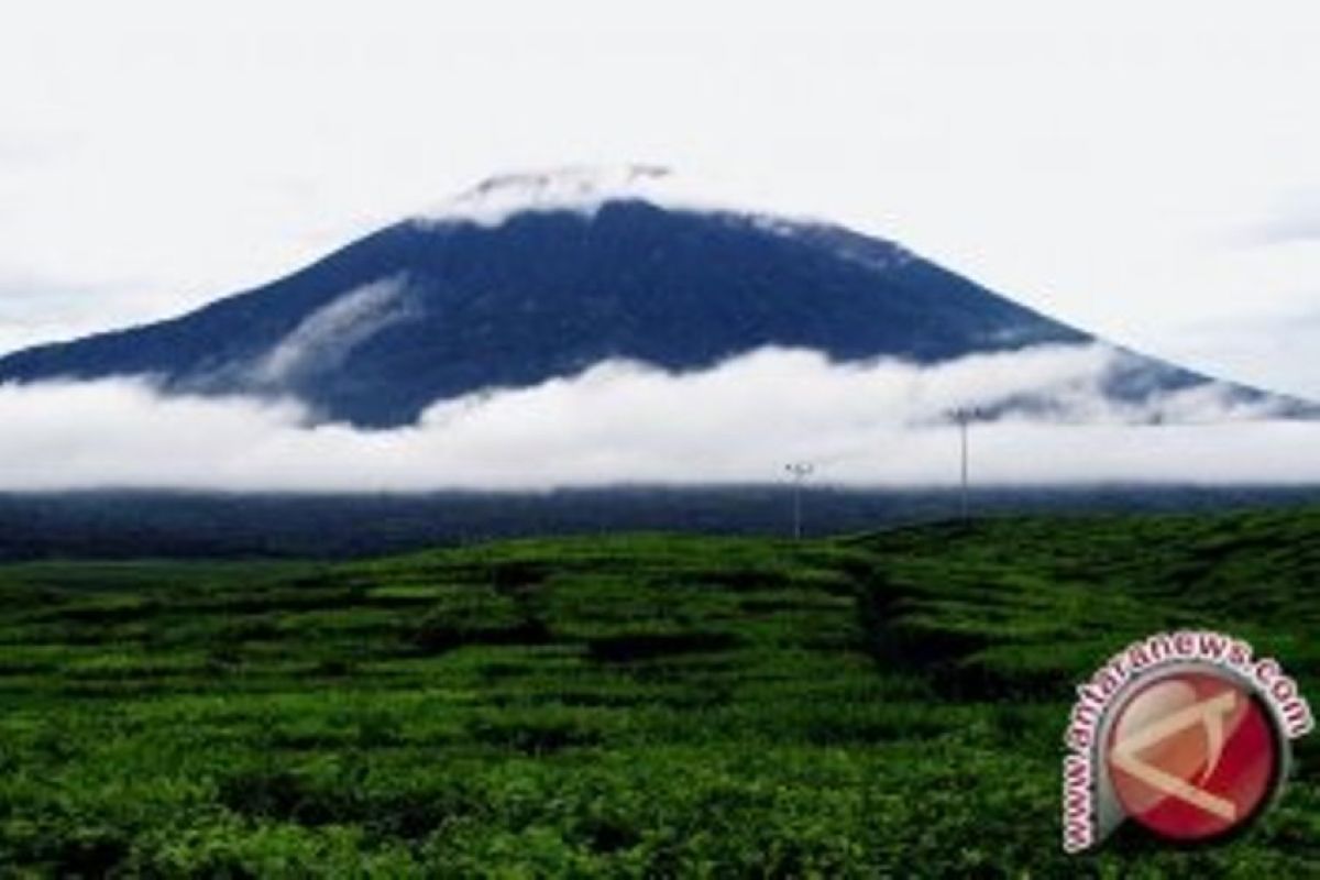 Gunung Kerinci menyeburkan abu 800 meter, PVMBG sebut fenomena biasa