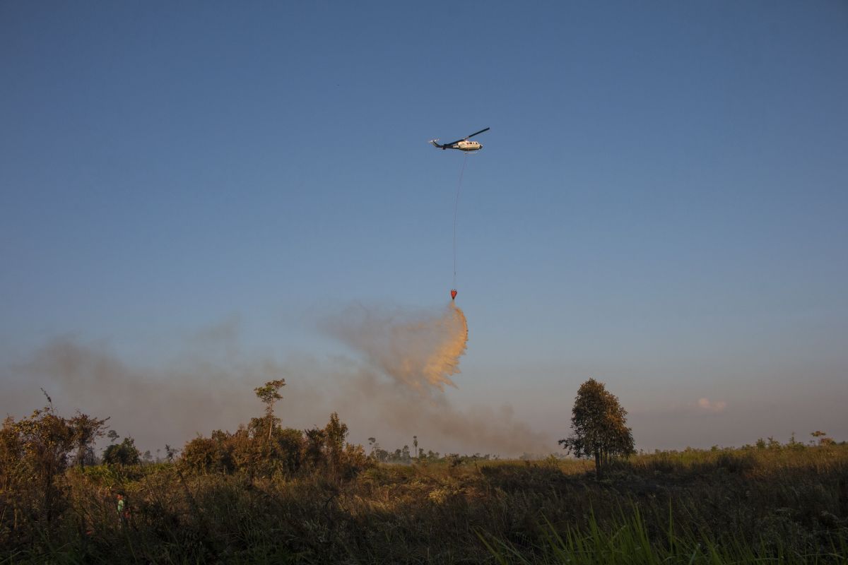 IAR Indonesia ikut padamkan karhutla masyarakat di Ketapang