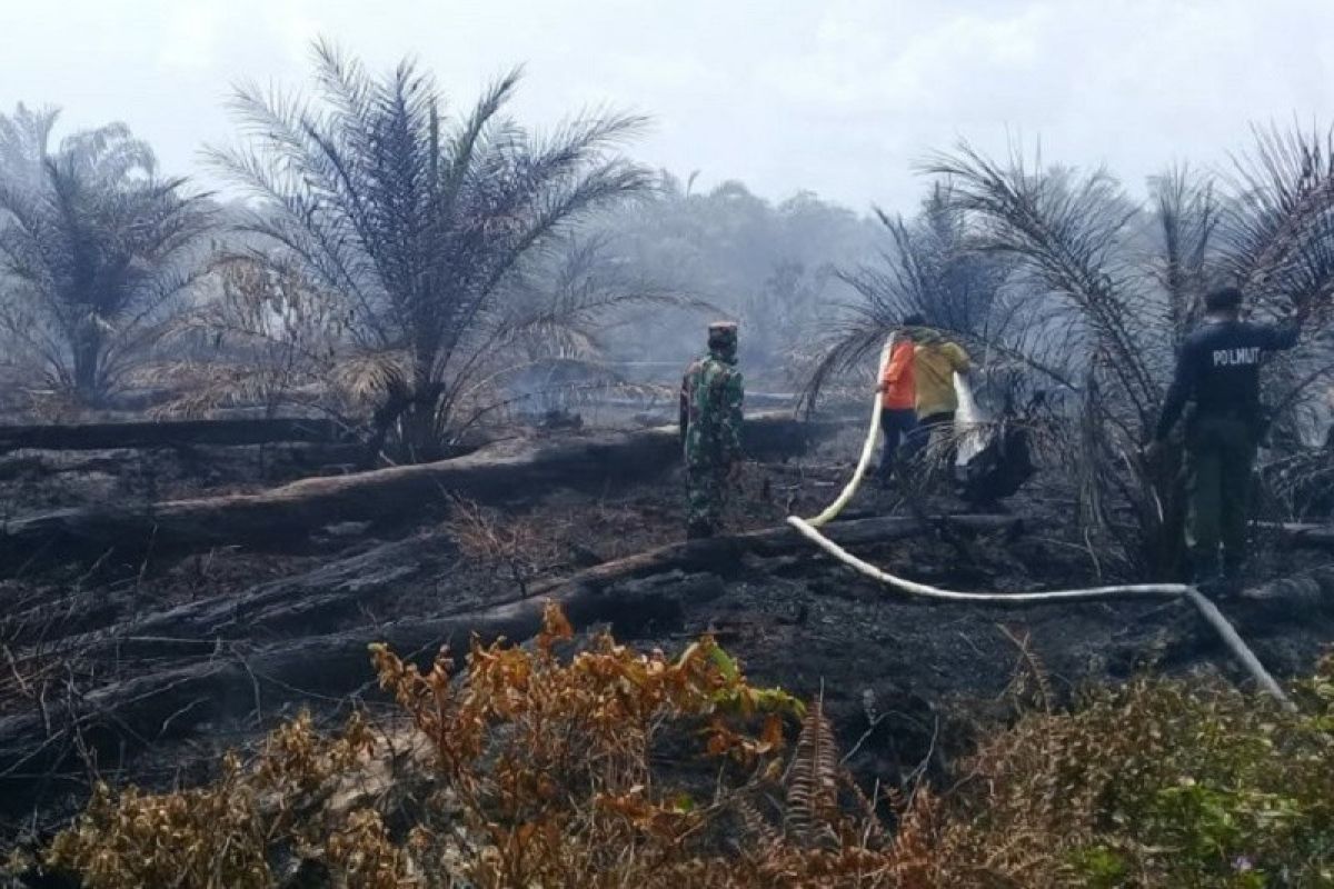 BMKG temukan 18 titik panas dalam dua hari terakhir di Aceh