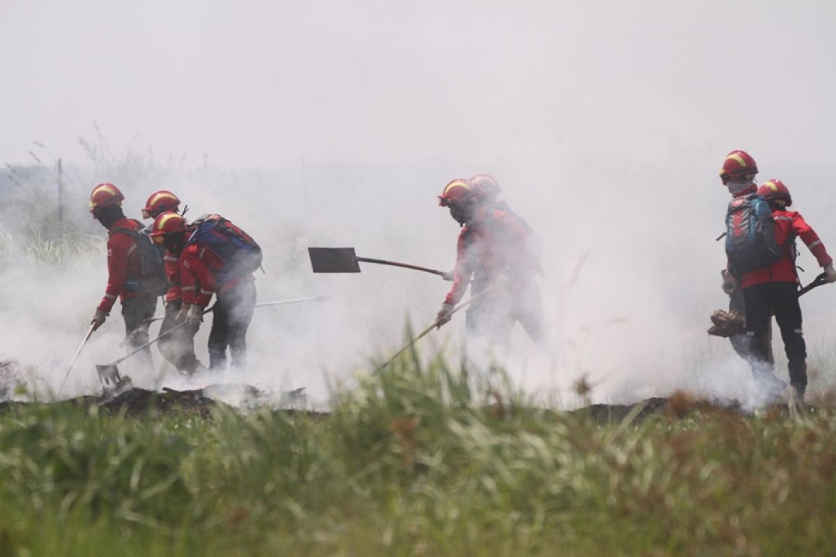 APP Sinar Mas Siagakan 799 Personel Pemadam Kebakaran di OKI