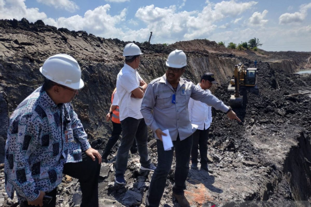 KPK menemukan aktivitas tambang ilegal di perkebunan sawit Kalsel