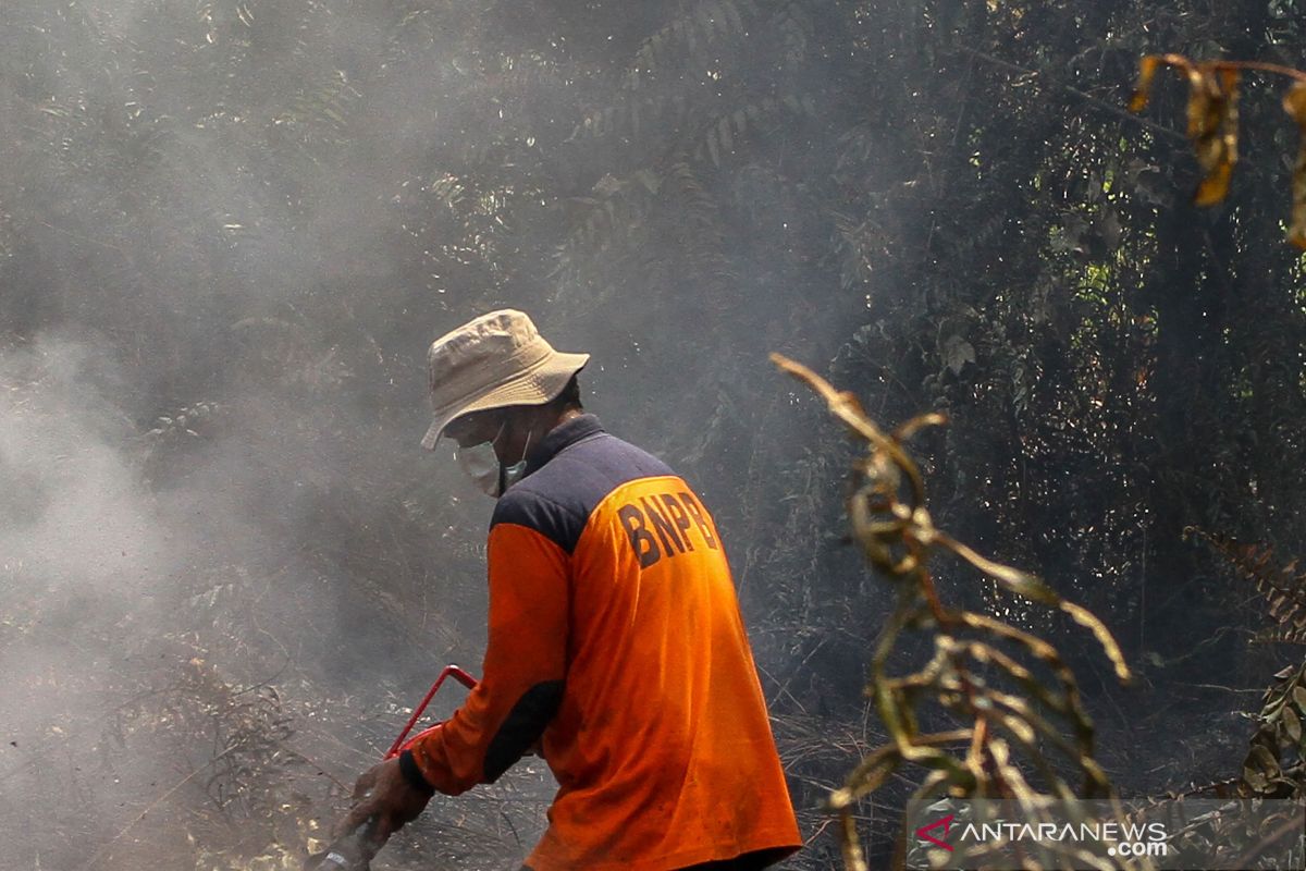 Sempat padam, gambut di Pelalawan kembali terbakar dan meluas