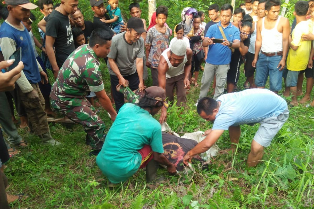 Karyawan kebun Langkat tewas tersengat arus listrik tegangan tinggi