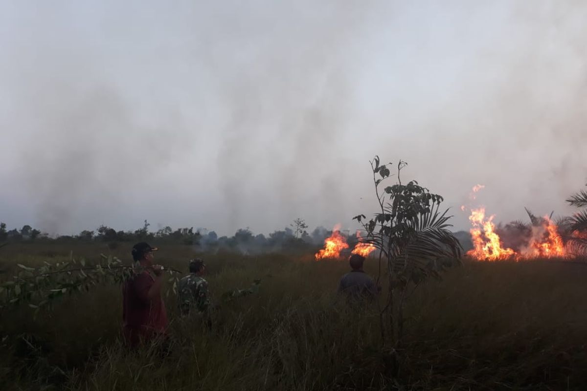 Kualitas udara di Jambi masih kategori baik