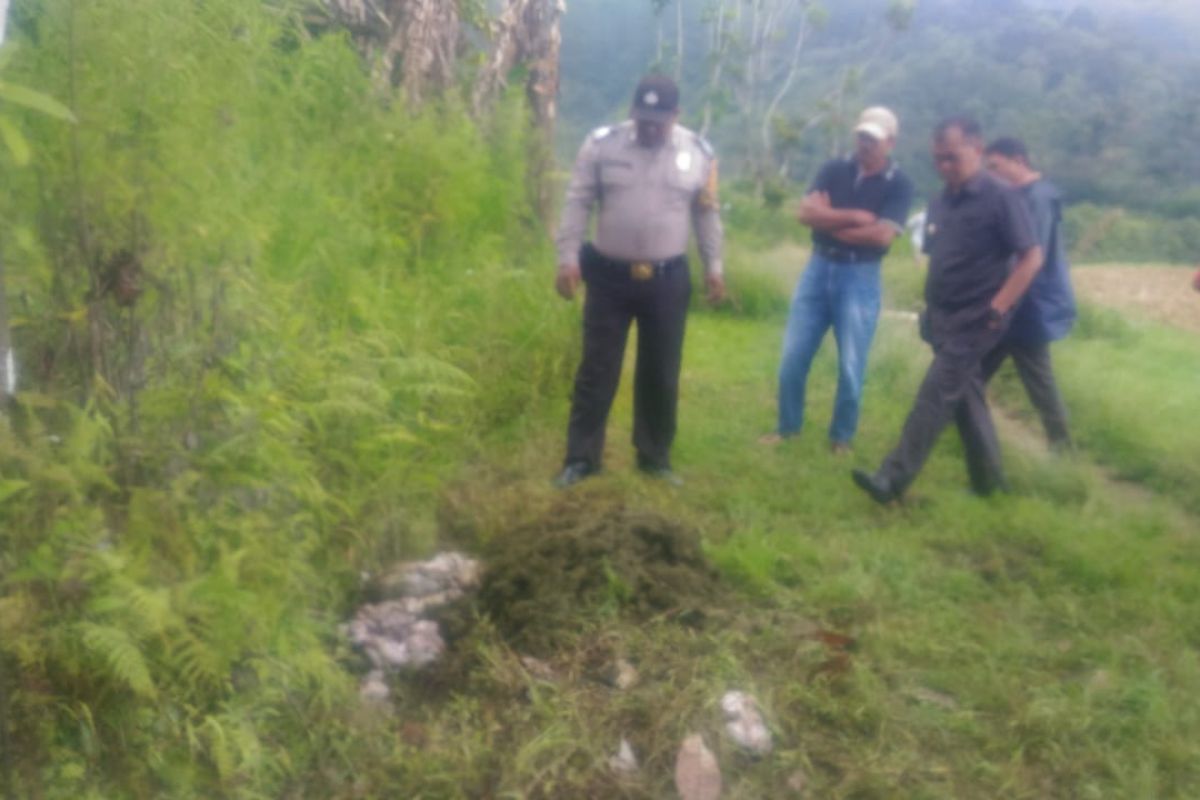 Dua warga Pasaman Barat ini diciduk polisi usai mencuri kerbau di Agam