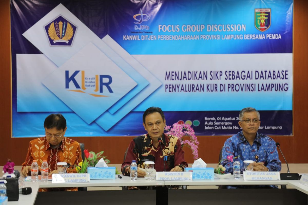 Pemprov Lampung dorong pemkab/pemkot aktif input data debitur UMKM