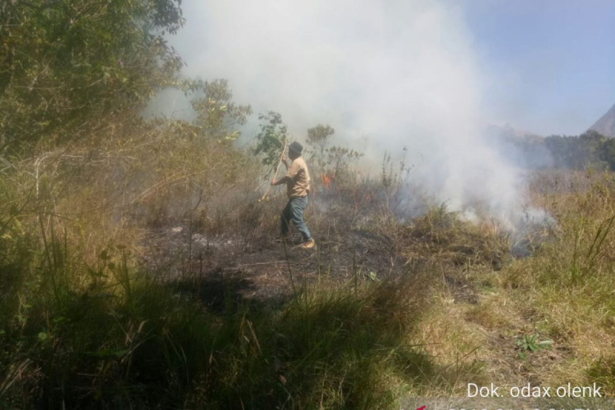 Kebakaran padang rumput Gunung Rinjani Lombok terjadi lagi